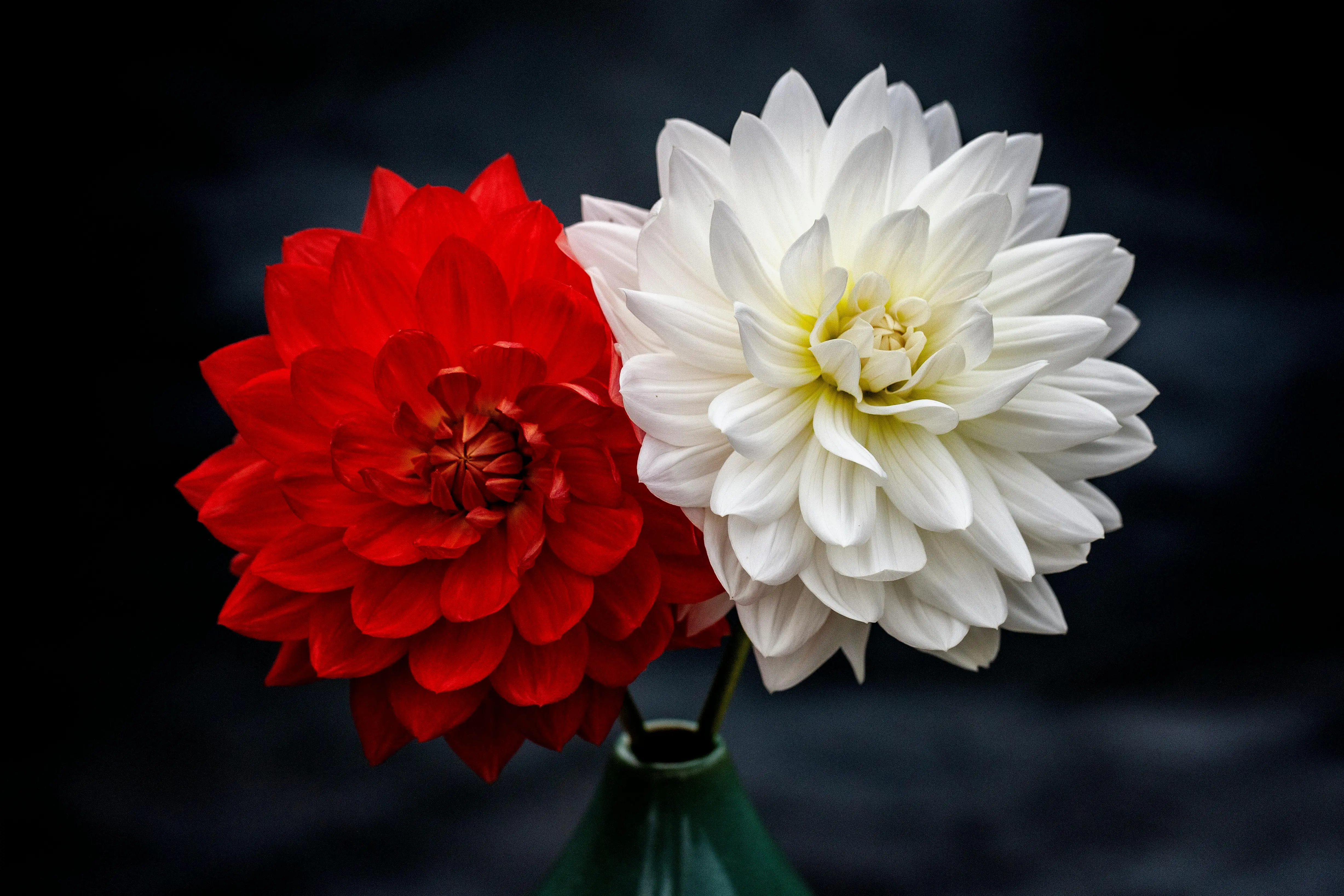 Top 5 Autumn Fragrances for 2024