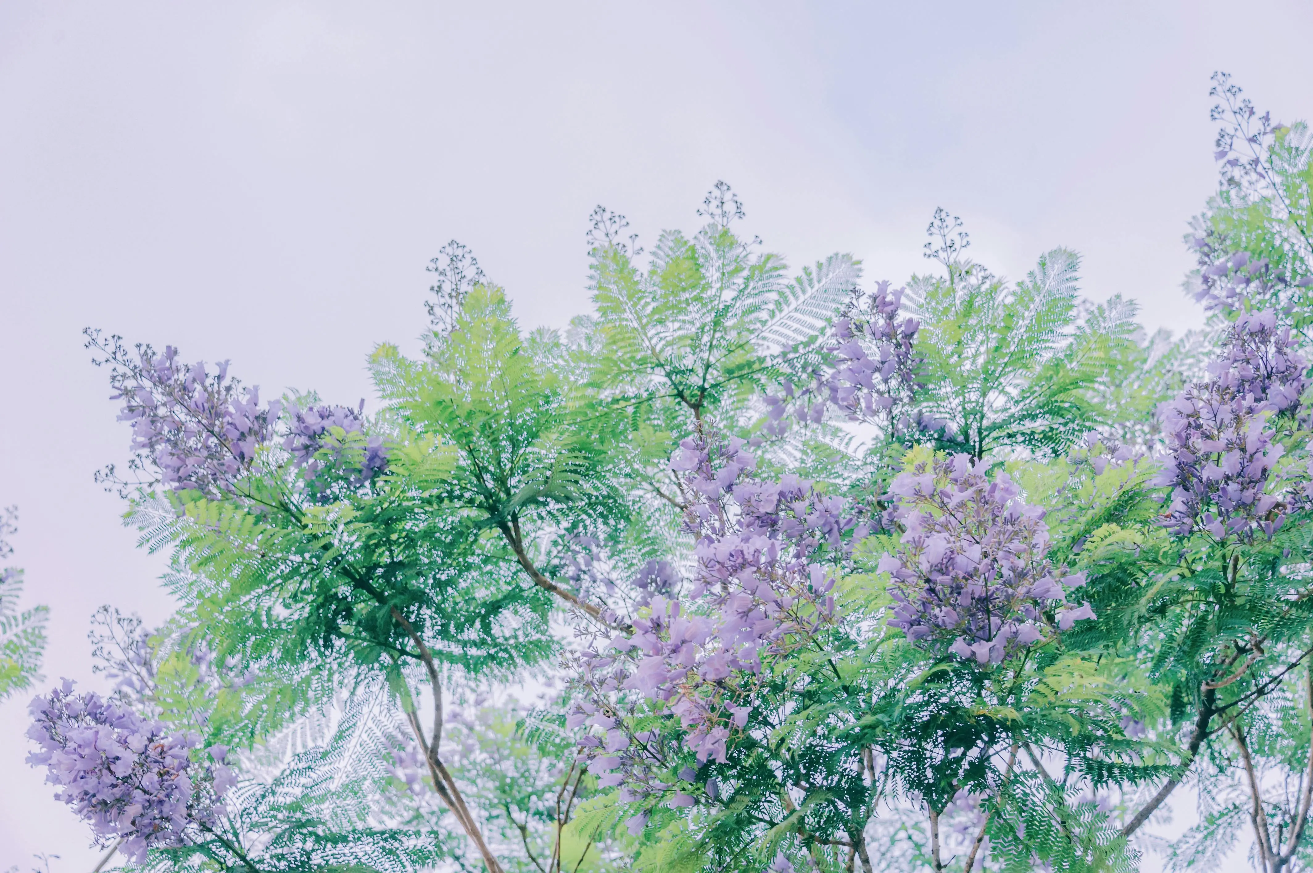 Top 5 Autumn Fragrances for 2024