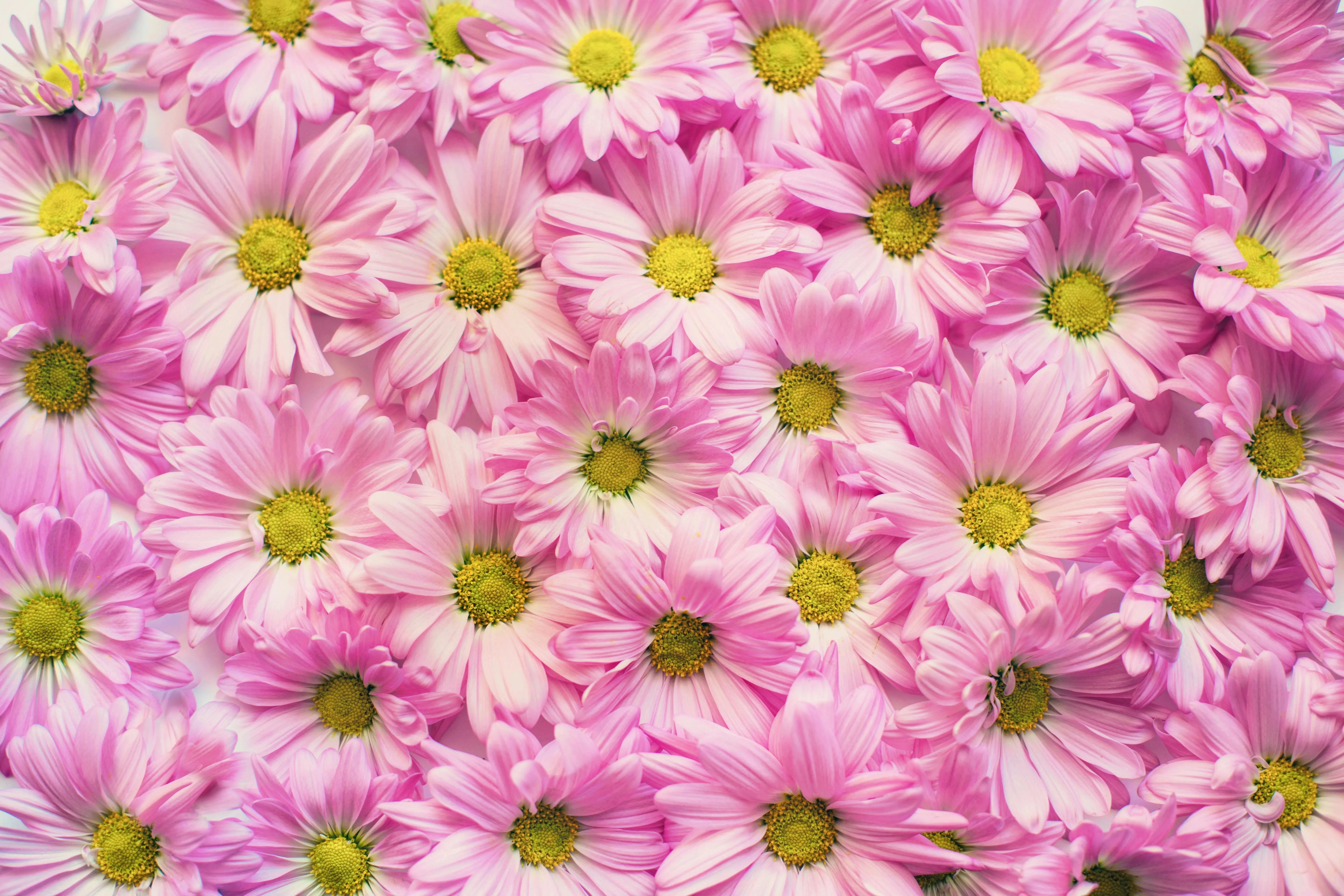 Top 5 Autumn Fragrances for 2024