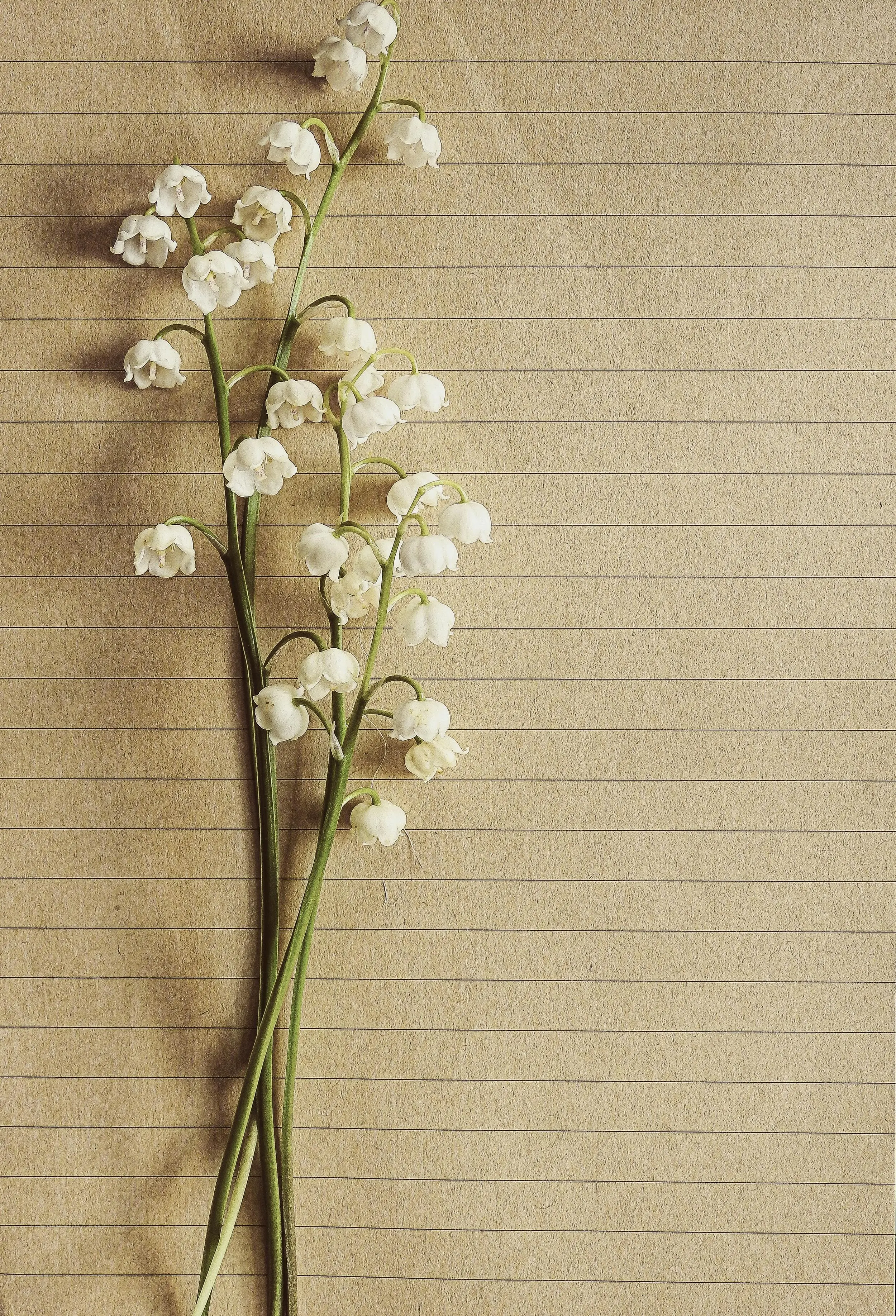 Top 5 Autumn Fragrances for 2024