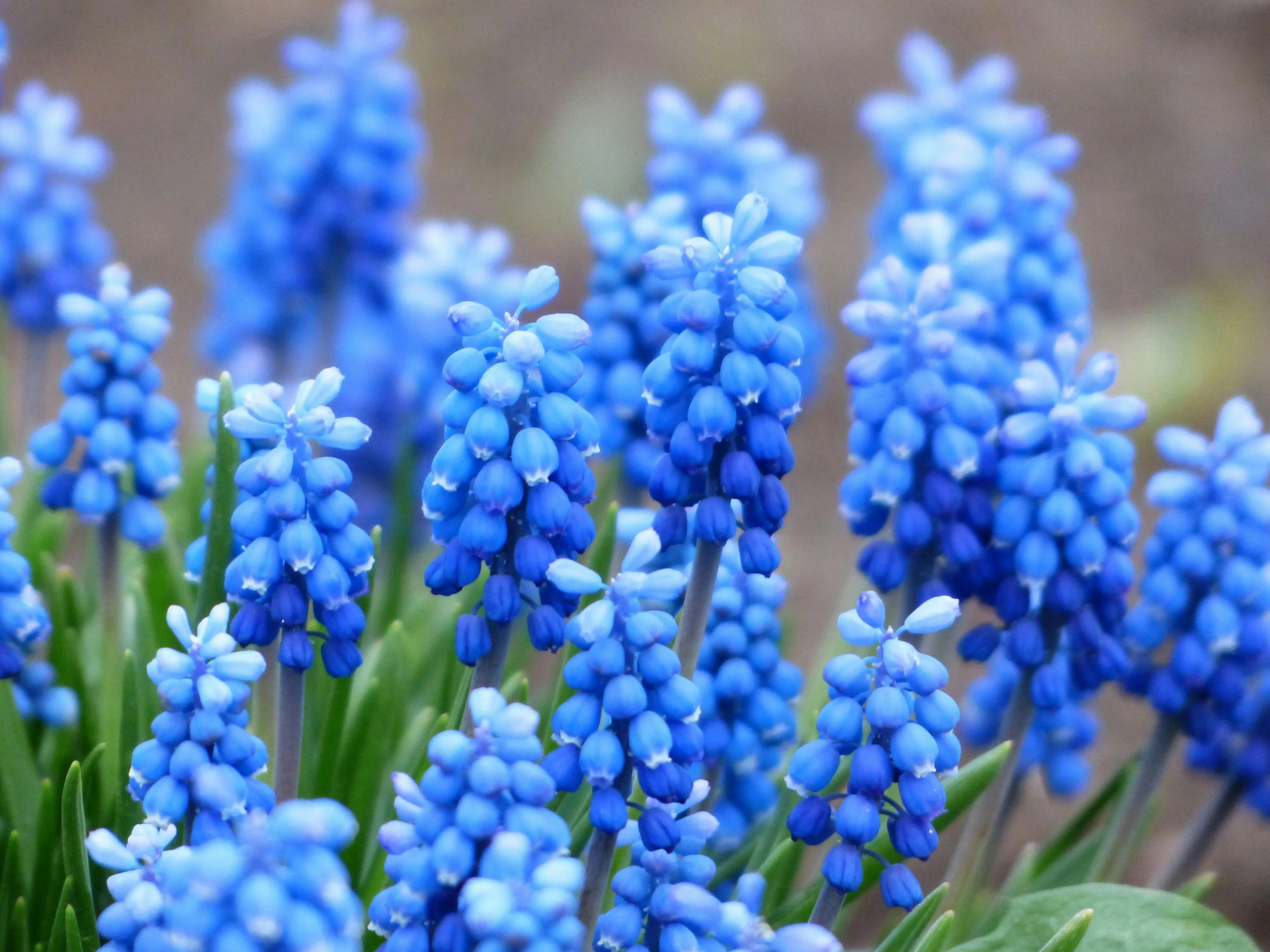 Top 5 Autumn Fragrances for 2024