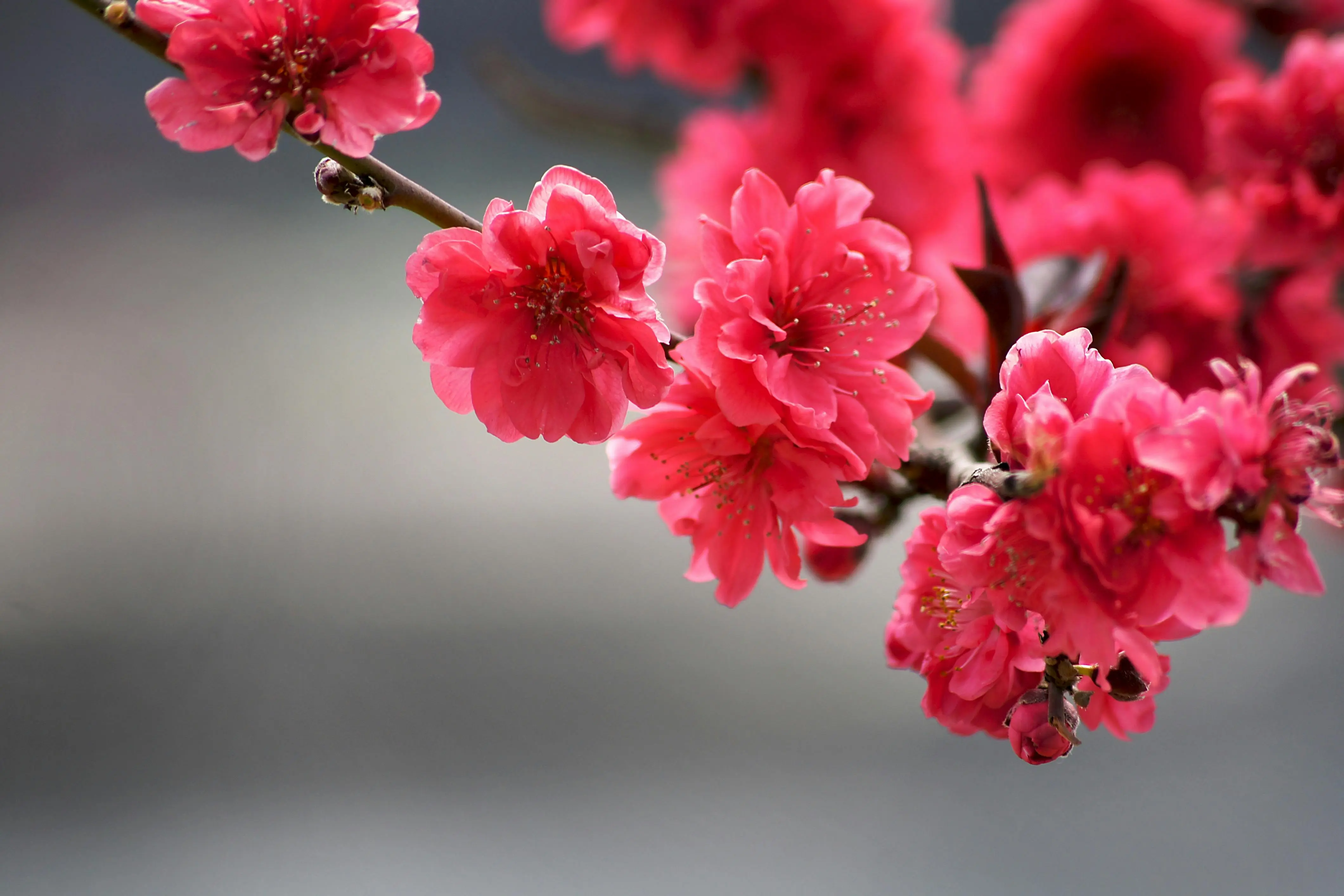 Top 5 Autumn Fragrances for 2024