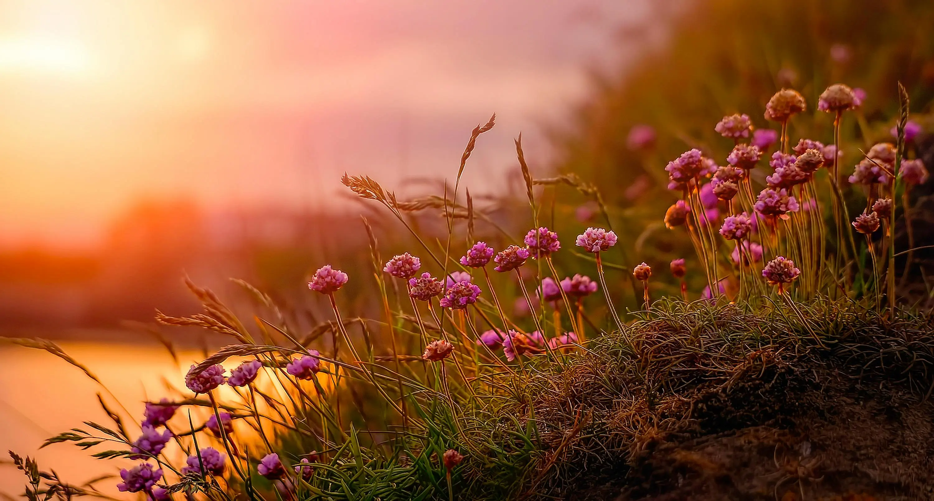 Top 5 Autumn Fragrances for 2024