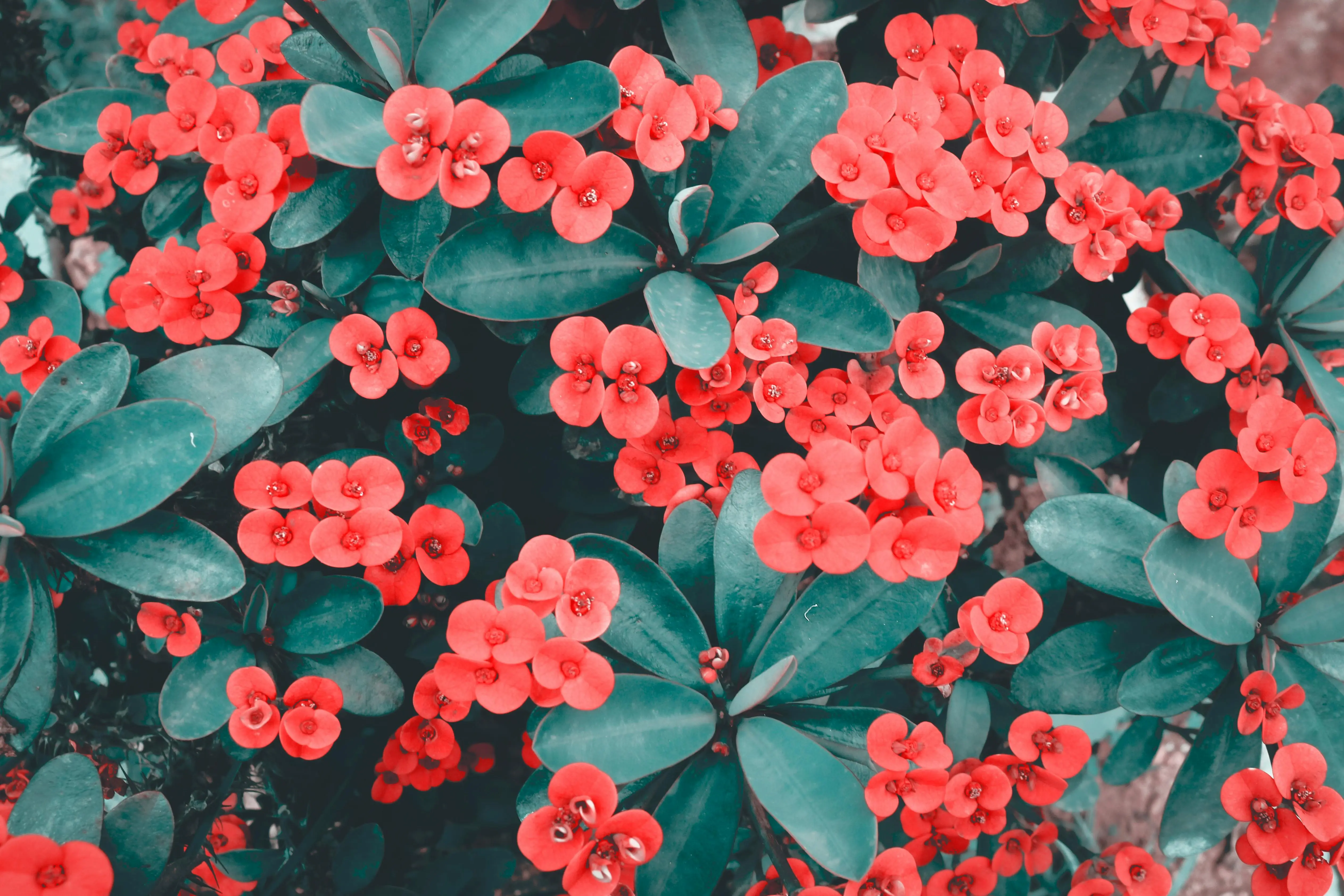 Top 5 Autumn Fragrances for 2024