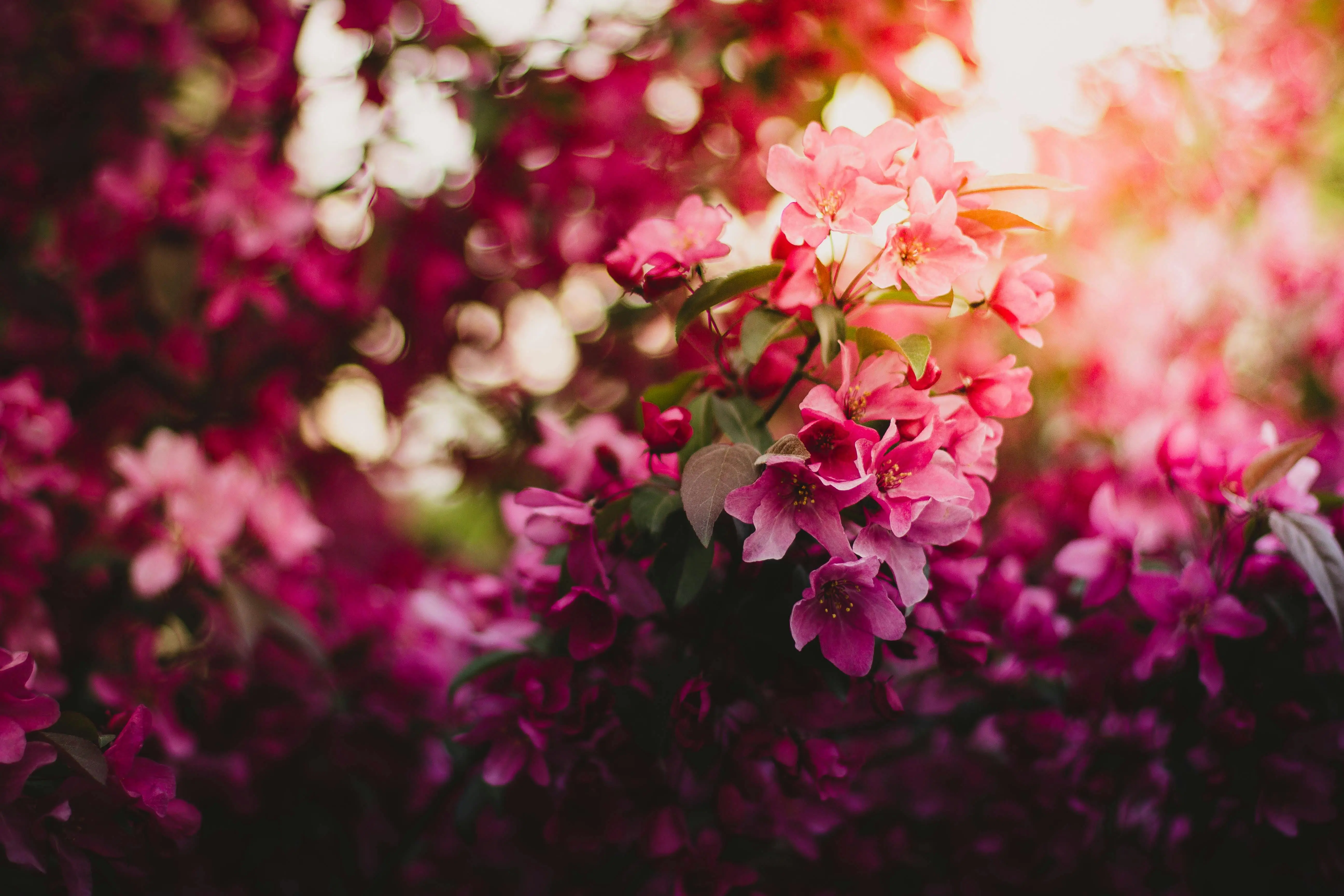 Top 5 Autumn Fragrances for 2024